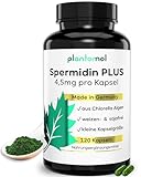 4,5mg Spermidine PRO Kapsel aus CHLORELLA ALGEN EXTRAKT - frei...