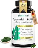 4,5mg Spermidine PRO Kapsel aus CHLORELLA ALGEN EXTRAKT - frei...