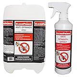 CleanPrince Anti Spinnenspray 2,5 Liter | Spinnen Vernichter...