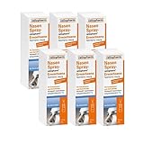 Nasenspray-ratiopharm® Erwachsene (6x 15ml)